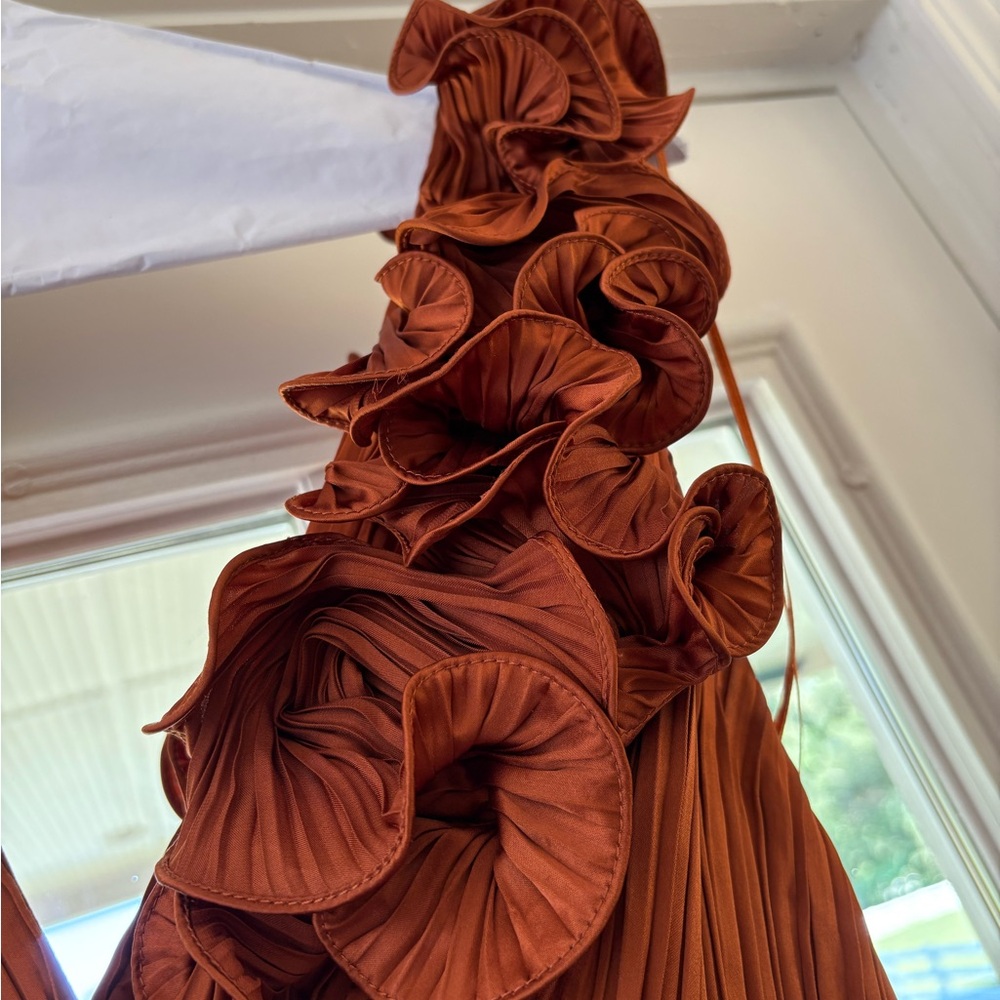 AMUR Copper Ruffled Dress - Picture 3 of 4